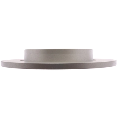 RAYBESTOS - 682446FZN - Rear Disc Brake Rotor pa1
