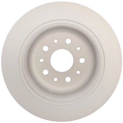 RAYBESTOS - 782484 - Rear Disc Brake Rotor pa2