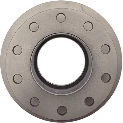 Solid Rear Disc Brake Rotor - RAYBESTOS R-Line - 8541R pa12