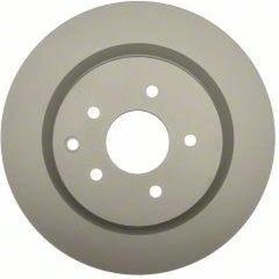 Rear Disc Brake Rotor by RAYBESTOS - 980251FZN pa9