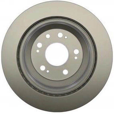 Rear Disc Brake Rotor by RAYBESTOS - 980342FZN pa13