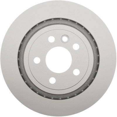 RAYBESTOS - 980609FZN - Rear Disc Brake Rotor pa2