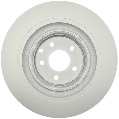 RAYBESTOS - 980663FZN - Rear Disc Brake Rotor pa2