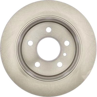 RAYBESTOS - 980667R - Rear Disc Brake Rotor pa14