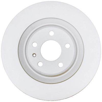 RAYBESTOS - 980881FZN - Rear Disc Brake Rotor pa2