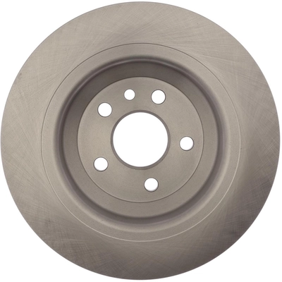 Solid Rear Disc Brake Rotor - RAYBESTOS R-Line - 980956R pa10