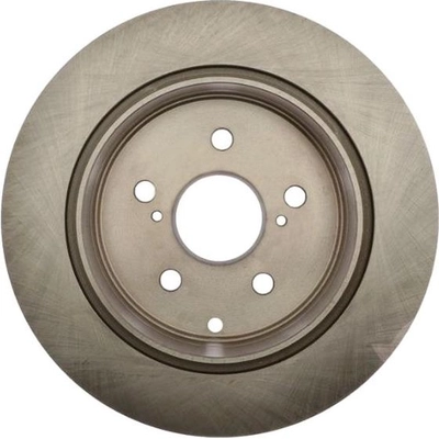 Solid Rear Disc Brake Rotor - RAYBESTOS R-Line - 981058R pa14