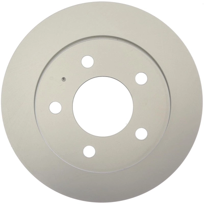 RAYBESTOS - 981059FZN - Rear Disc Brake Rotor pa2