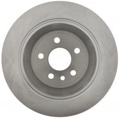 Solid Rear Disc Brake Rotor - RAYBESTOS R-Line - 981793R pa9