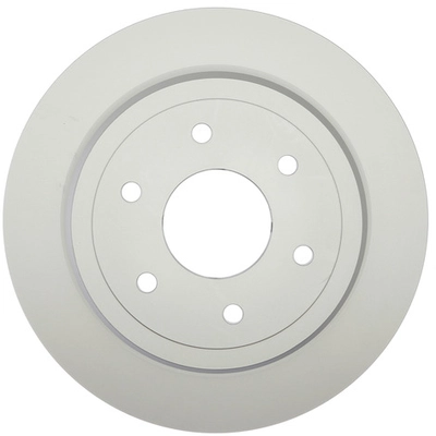 RAYBESTOS - 982036FZN - Rear Brake Rotor pa1