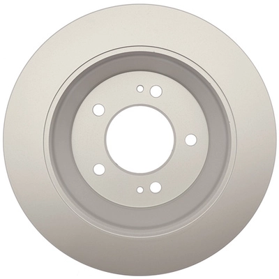 RAYBESTOS - 982049FZN - Rear Brake Rotor pa2