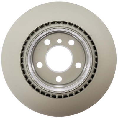 RAYBESTOS - 982062FZN - Rear Brake Rotor pa1