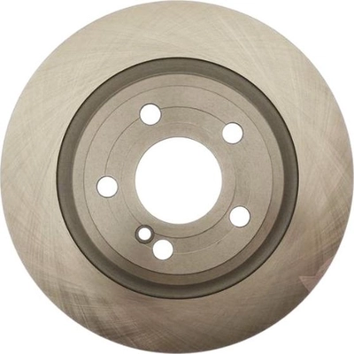 Solid Rear Disc Brake Rotor - RAYBESTOS R-Line - 982095R pa12