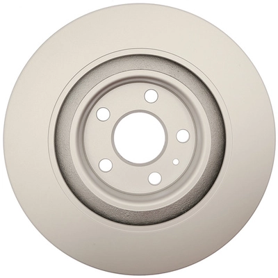 RAYBESTOS - 982109FZN - Rear Brake Rotor pa1