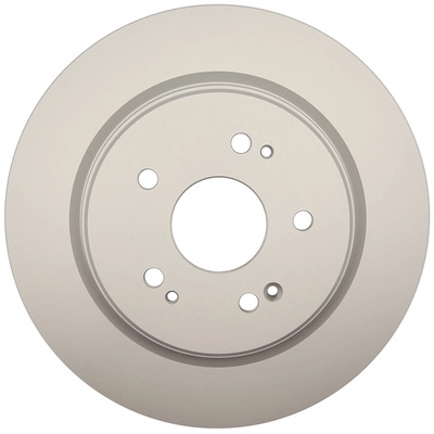 RAYBESTOS - 982123FZN - Rear Brake Rotor pa1