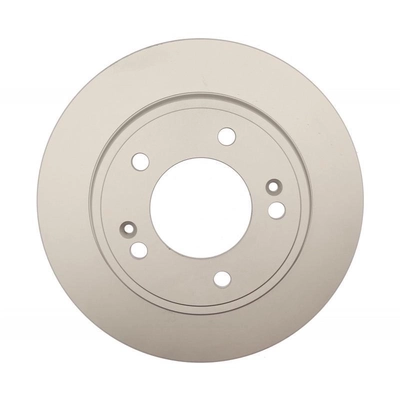 Solid Rear Disc Brake Rotor - RAYBESTOS Specialty - 982143 pa11