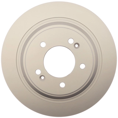 RAYBESTOS - 982146FZN - Rear Brake Rotor pa1