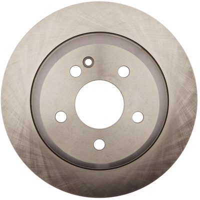 Solid Rear Disc Brake Rotor - RAYBESTOS R-Line - 982191R pa10