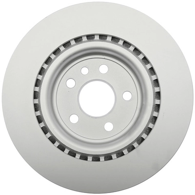 RAYBESTOS - 982412FZN - Rear Brake Rotor pa1