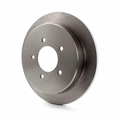 Rear Disc Brake Rotor by TOP QUALITY - 8-66670 pa1