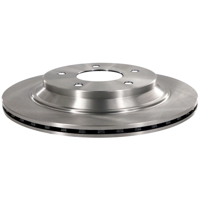 WINHERE BRAKE PARTS - 442273 - Rear Disc Brake Rotor pa2