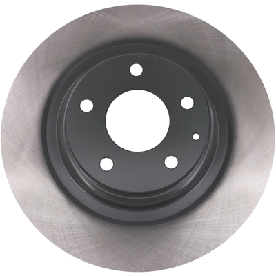 WINHERE BRAKE PARTS - 6612251 - Rear Disc Brake Rotor pa1