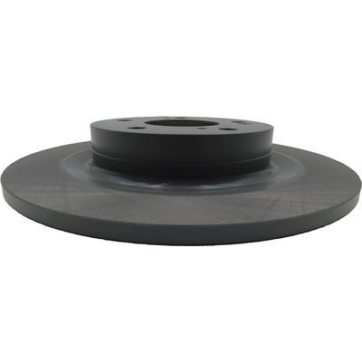 WINHERE BRAKE PARTS - 6612310 - Rear Disc Brake Rotor pa2