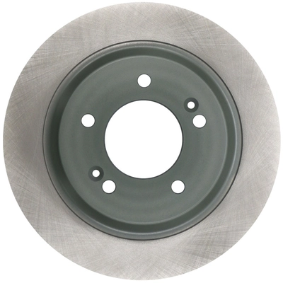 WINHERE BRAKE PARTS - 6612505 - Rear Disc Brake Rotor pa2