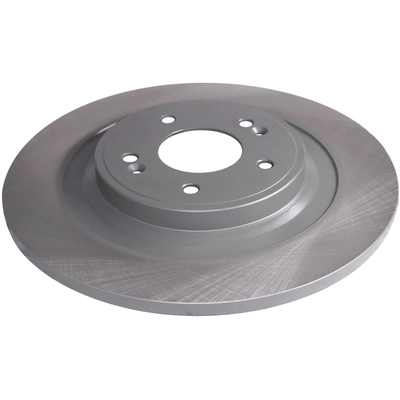 WINHERE BRAKE PARTS - 6612601 - Rear Disc Brake Rotor pa1