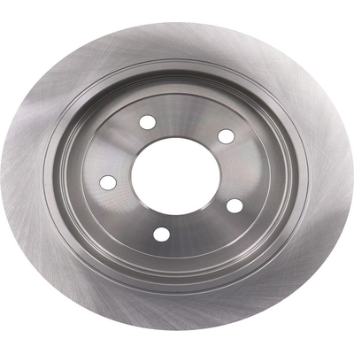 WINHERE BRAKE PARTS - 661345 - Rear Disc Brake Rotor pa5
