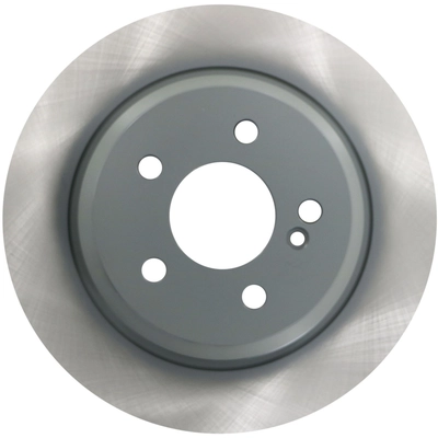 WINHERE BRAKE PARTS - 661894 - Rear Disc Brake Rotor pa1