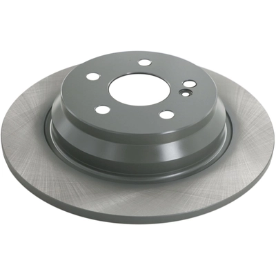 WINHERE BRAKE PARTS - 661894 - Rear Disc Brake Rotor pa2