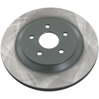 WINHERE BRAKE PARTS - 6620233 - Rear Disc Brake Rotor pa1
