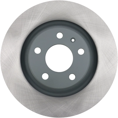 WINHERE BRAKE PARTS - 6620269 - Rear Disc Brake Rotor pa1