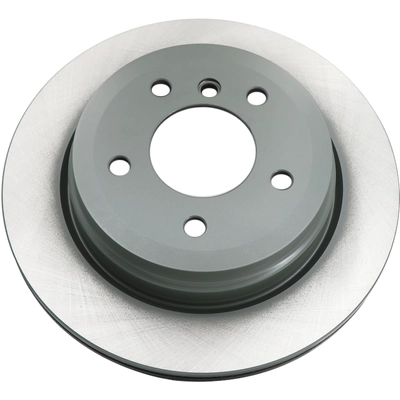 WINHERE BRAKE PARTS - 6620357 - Rear Disc Brake Rotor pa1