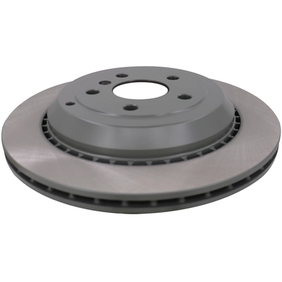 WINHERE BRAKE PARTS - 6620398 - Rear Disc Brake Rotor pa1