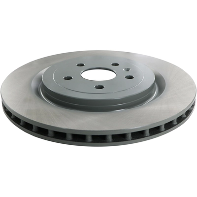 WINHERE BRAKE PARTS - 6621097 - Rear Disc Brake Rotor pa1