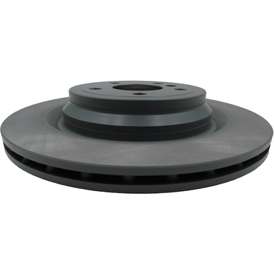 WINHERE BRAKE PARTS - 6621442 - Rear Disc Brake Rotor pa1