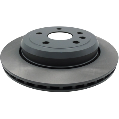 WINHERE BRAKE PARTS - 6621902 - Rear Disc Brake Rotor pa1
