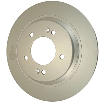 WINHERE BRAKE PARTS - UR004065 - Rear Brake Rotor pa1