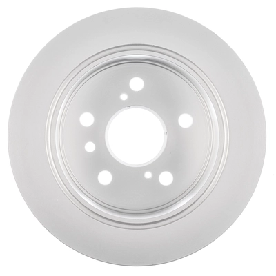 Rear Disc Brake Rotor by WORLDPARTS - WS1-231075 pa1
