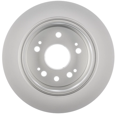 Rotor de frein à disque arrière de WORLDPARTS - WS1-231304 pa8