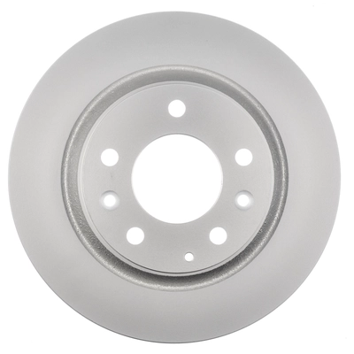 Rear Disc Brake Rotor by WORLDPARTS - WS1-231325 pa2