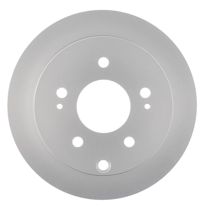 Rotor de frein à disque arrière de WORLDPARTS - WS1-231360 pa9