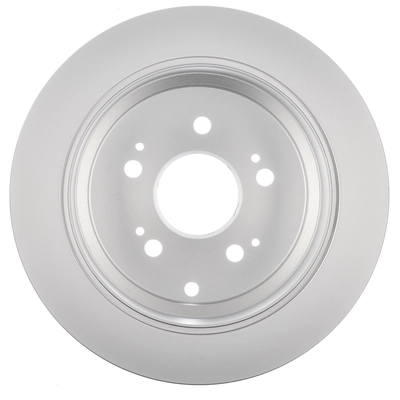 Rotor de frein à disque arrière de WORLDPARTS - WS1-231369 pa1