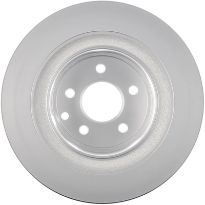 Rotor de frein à disque arrière de WORLDPARTS - WS1-231470 pa1