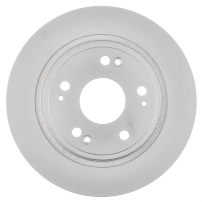 WORLDPARTS - WS1-231479 - Rear Disc Brake Rotor pa5