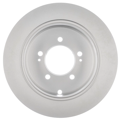 WORLDPARTS - WS1-231488 - Rear Disc Brake Rotor pa4