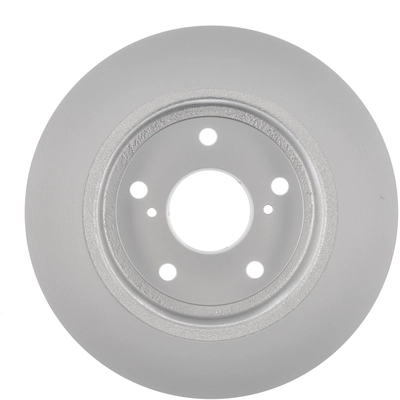 Rotor de frein à disque arrière de WORLDPARTS - WS1-231498 pa2