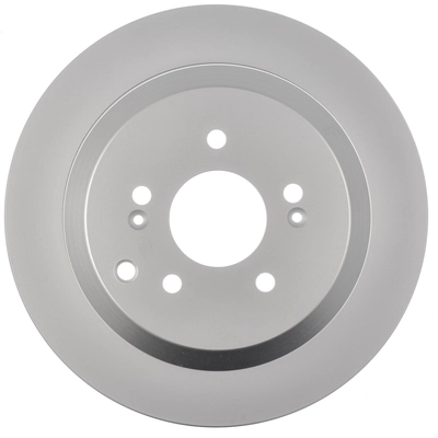 Rear Disc Brake Rotor by WORLDPARTS - WS1-331491 pa2